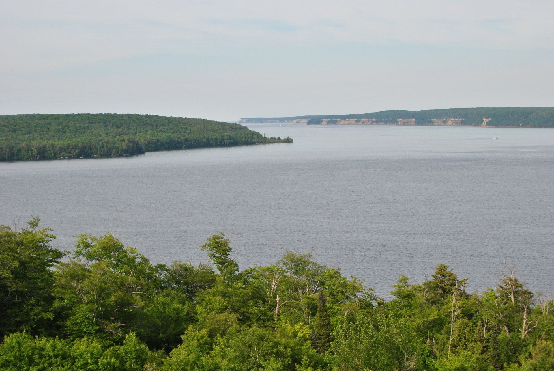 A large body of water surrounded by trees on a sunny day