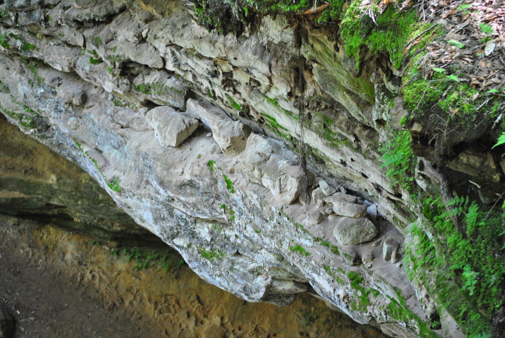 A close up of a rock formation with moss growing on it.