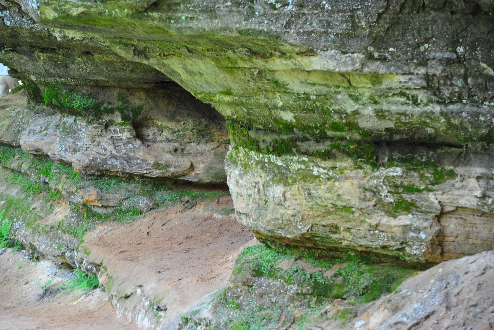 A close up of a rock formation with moss growing on it.