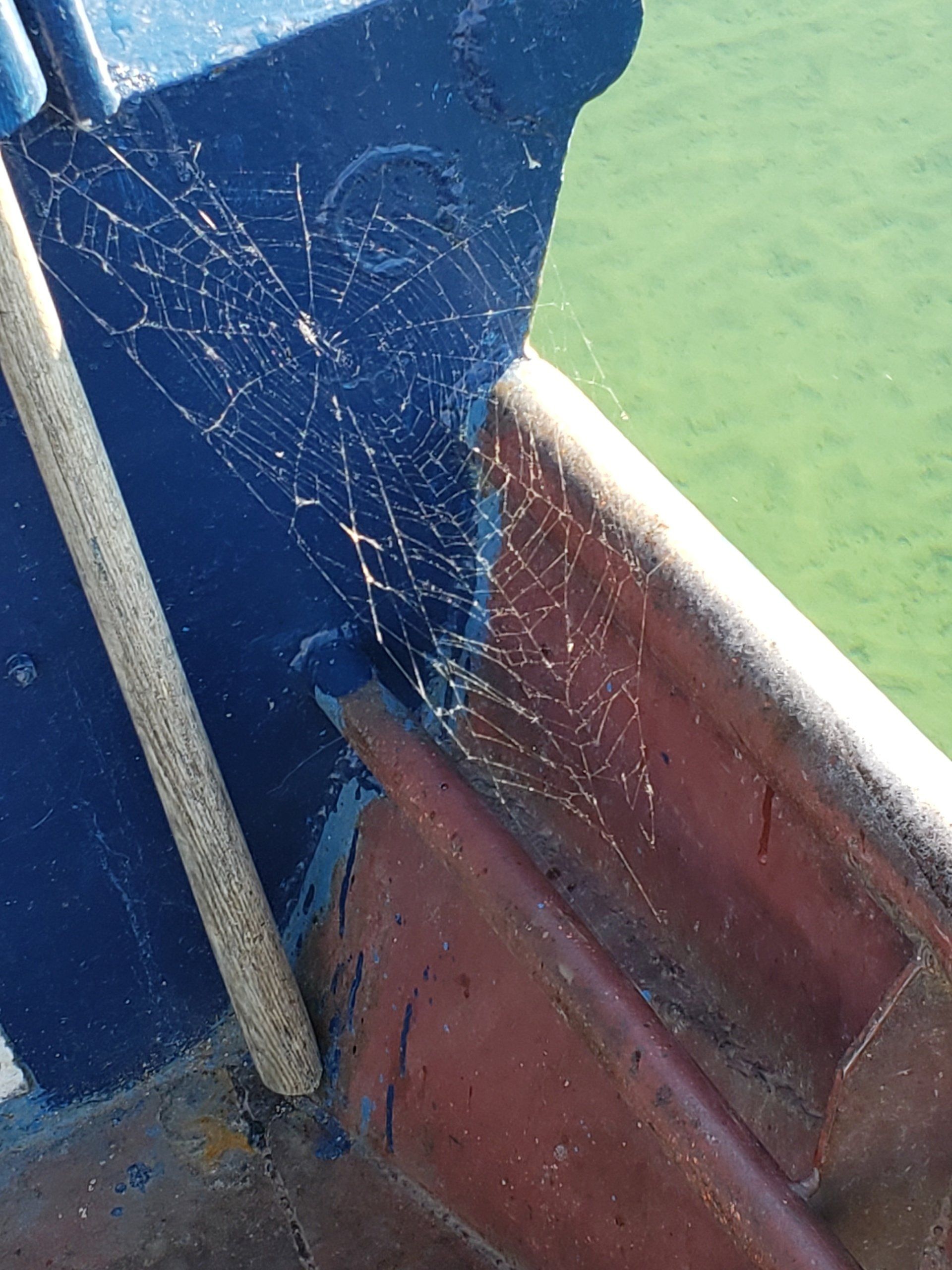 A spider web is hanging from the side of a boat