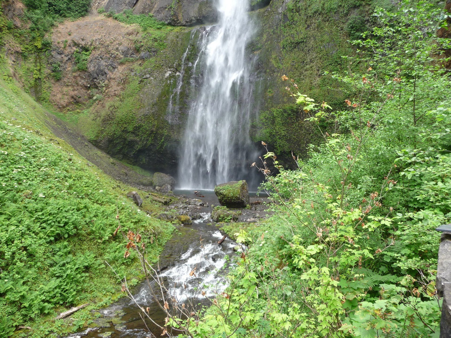 A waterfall is surrounded by lush greenery in the middle of a forest.