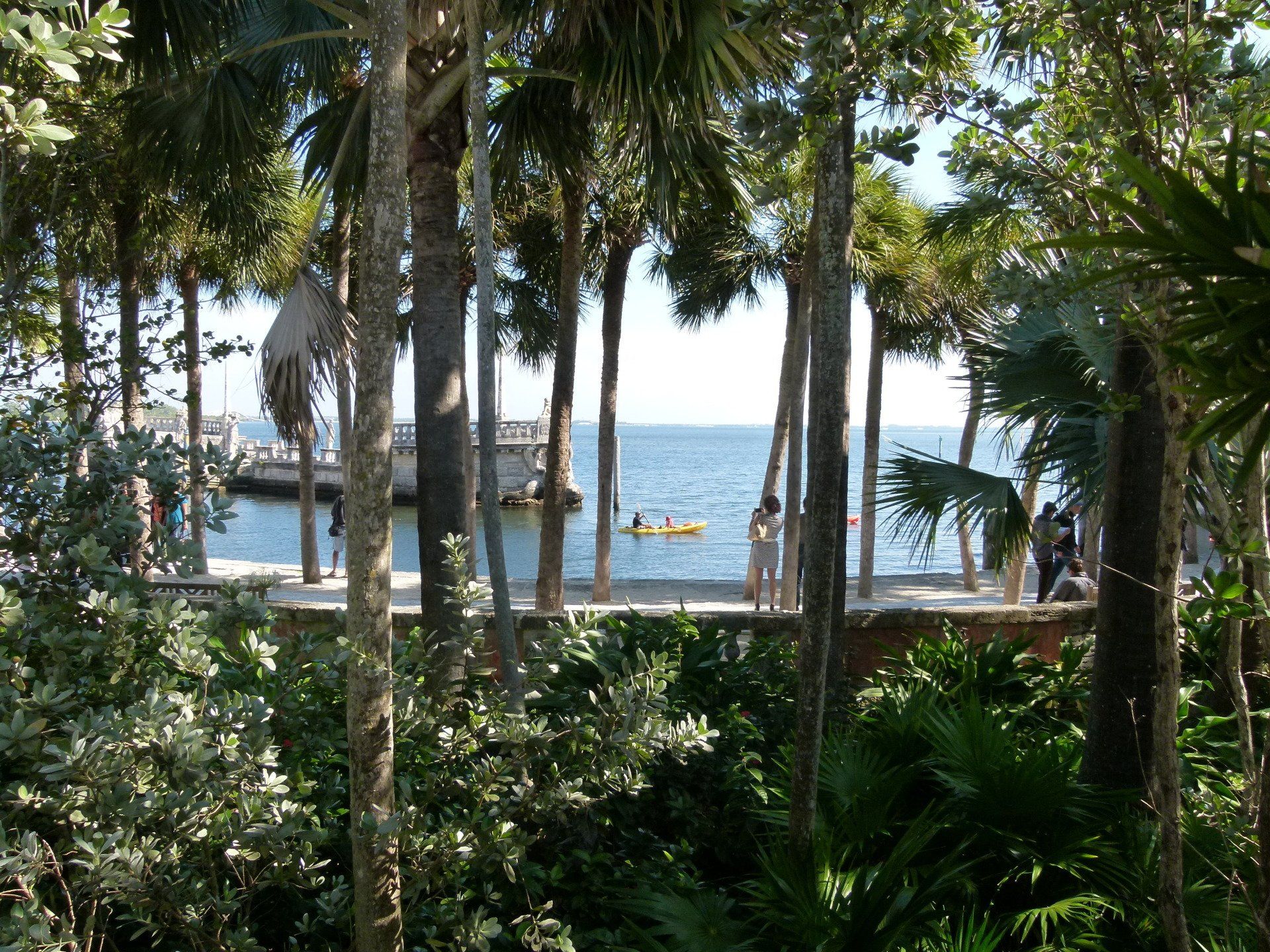 A view of the ocean through the trees