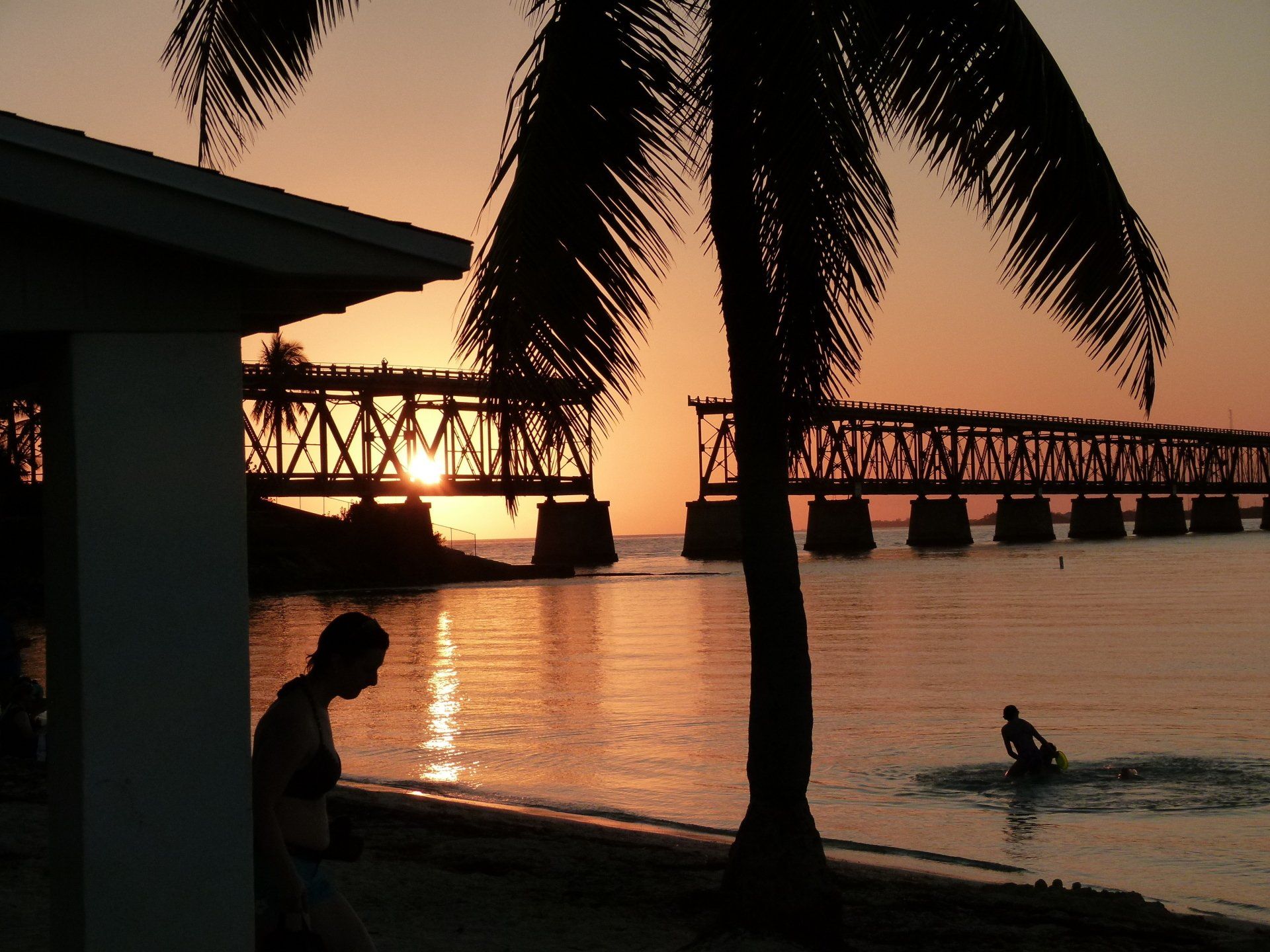 A bridge over a body of water with a palm tree in the foreground