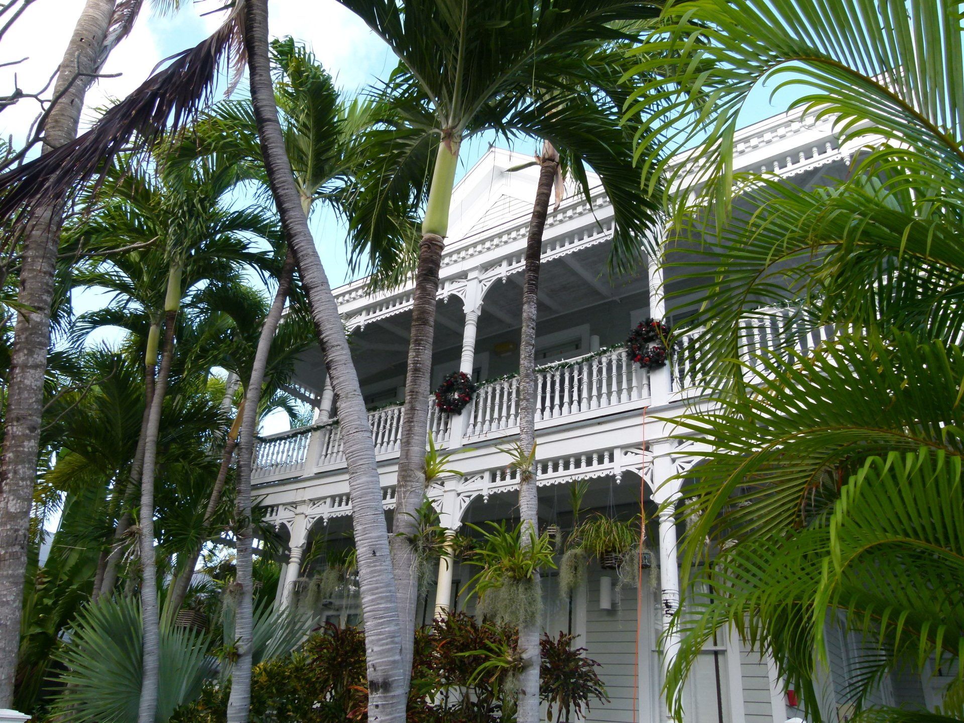 A large white house is surrounded by palm trees