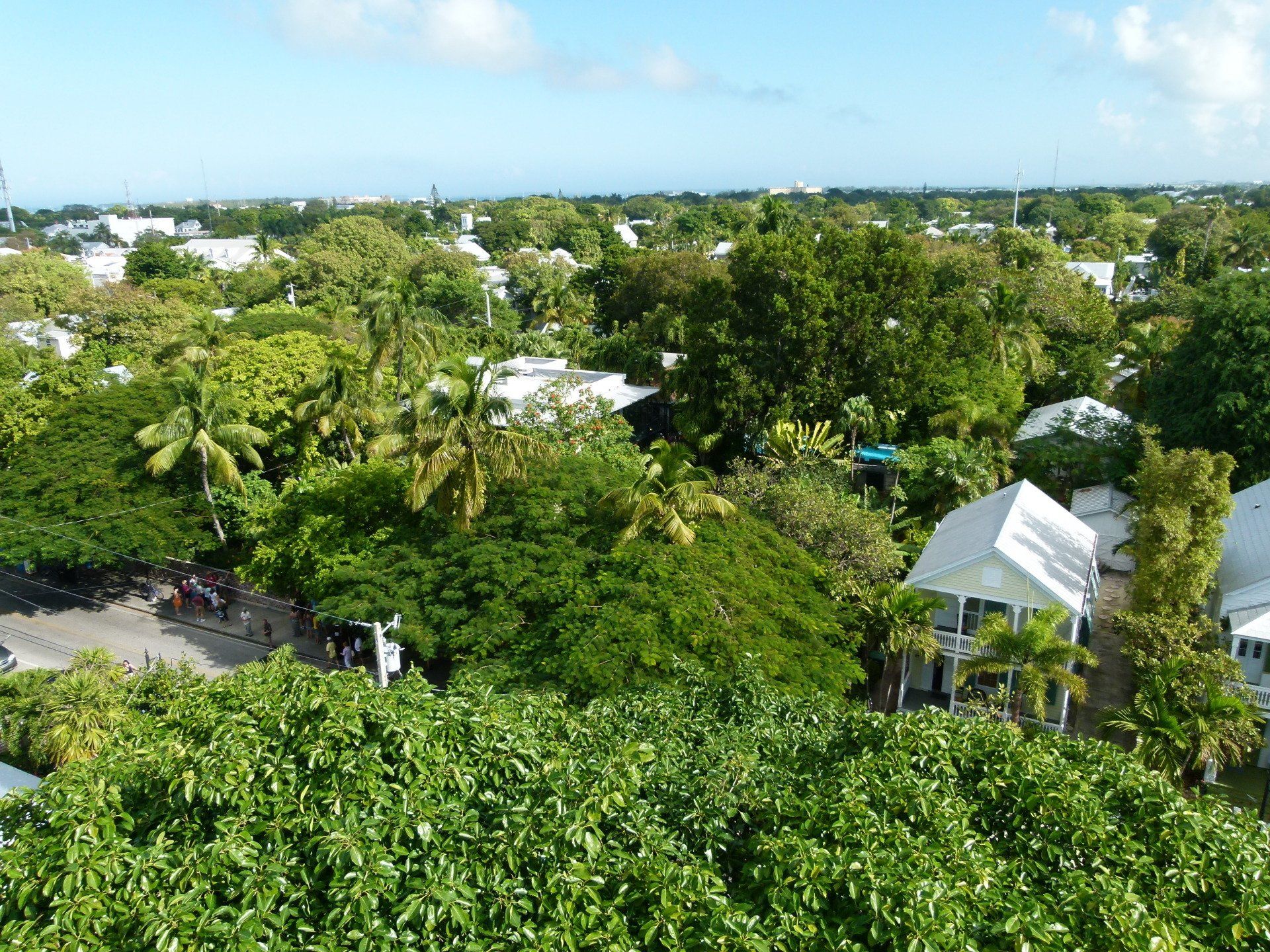 An aerial view of a city with lots of trees and houses