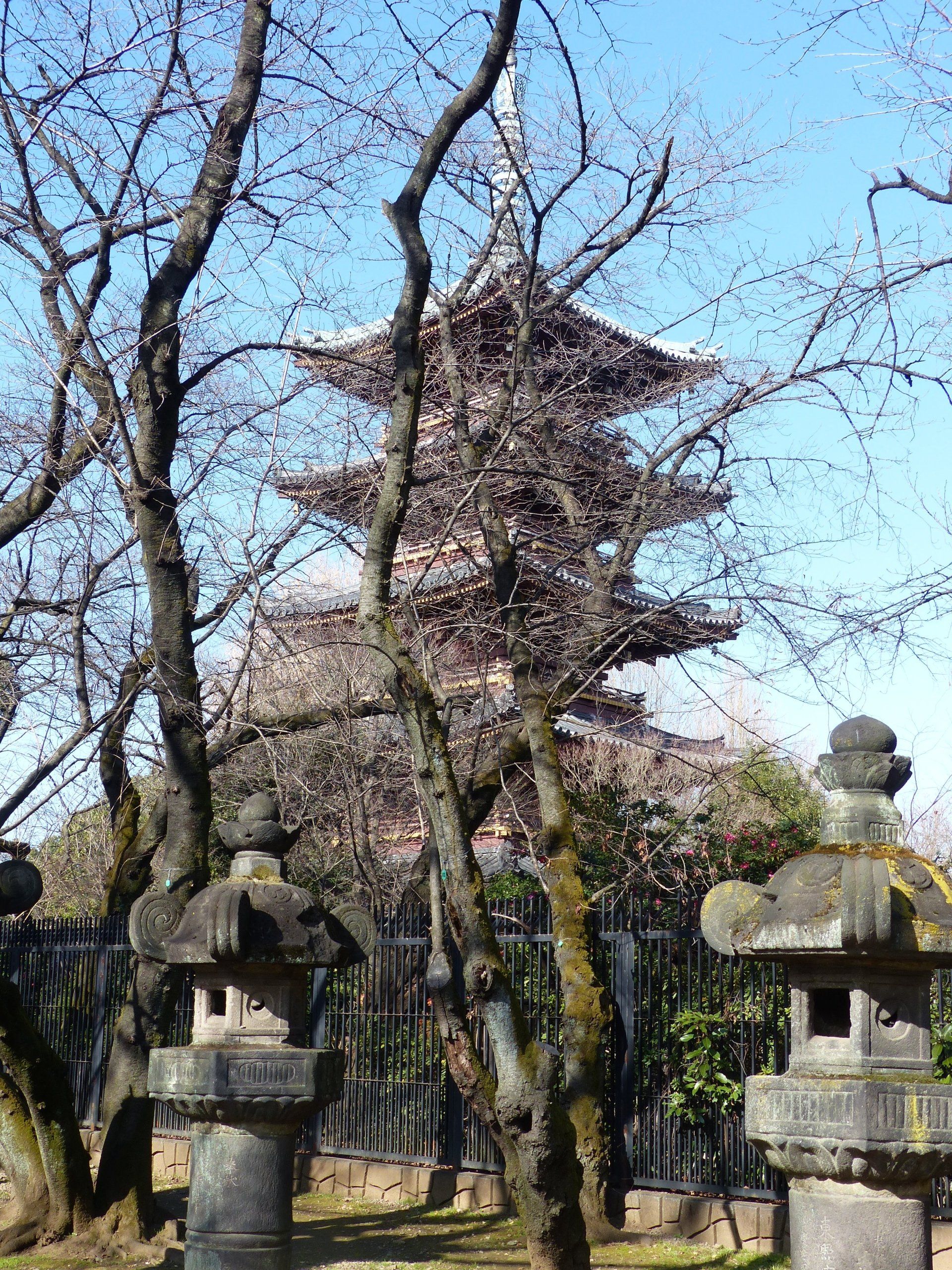 A pagoda is surrounded by trees and lanterns in a park.