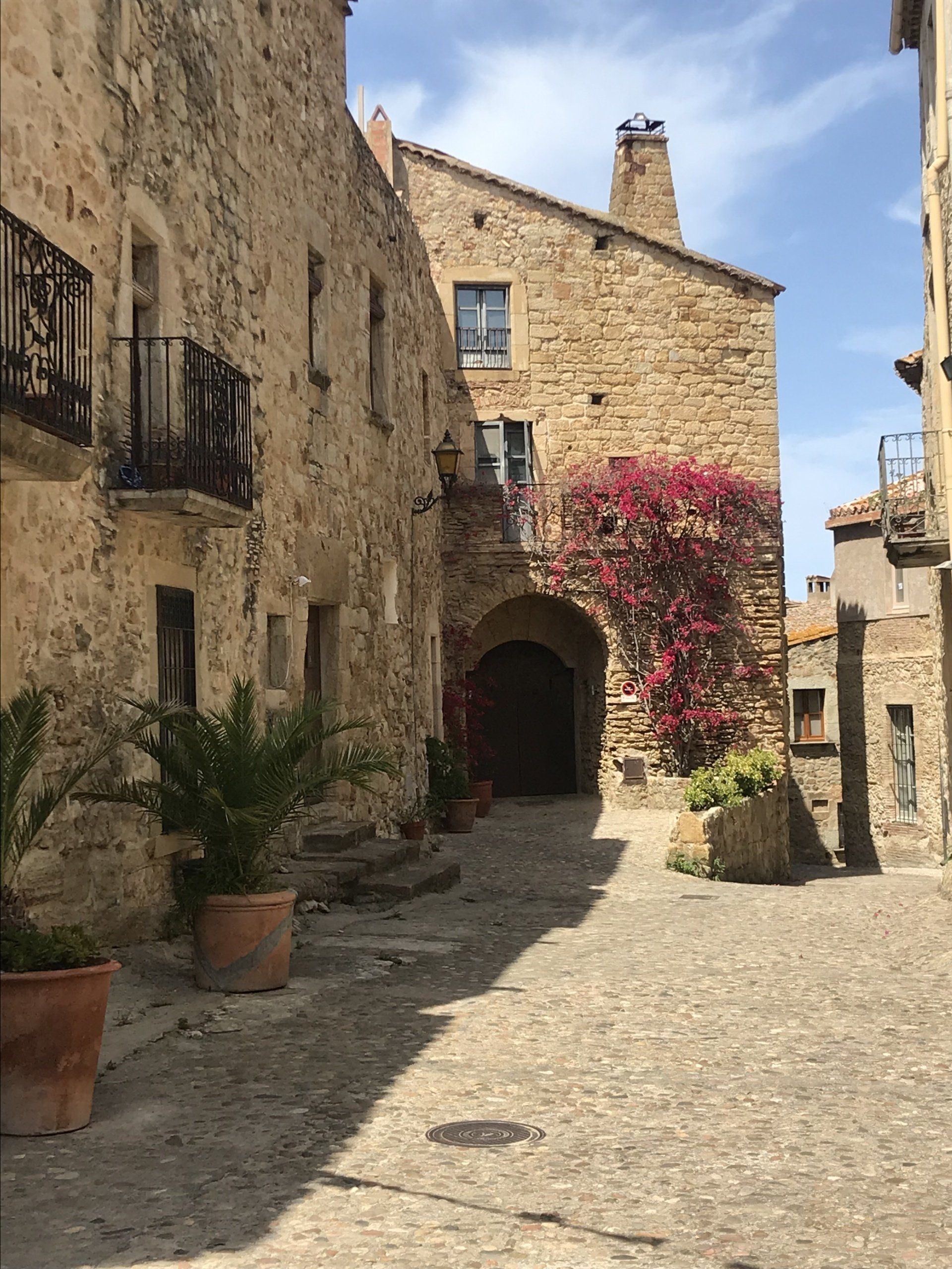 A narrow alleyway between two stone buildings with potted plants in front of them.