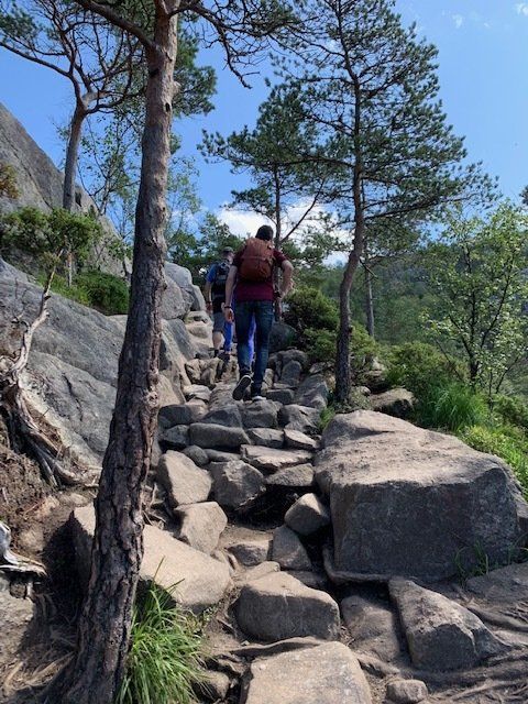 A group of people are walking up a rocky path