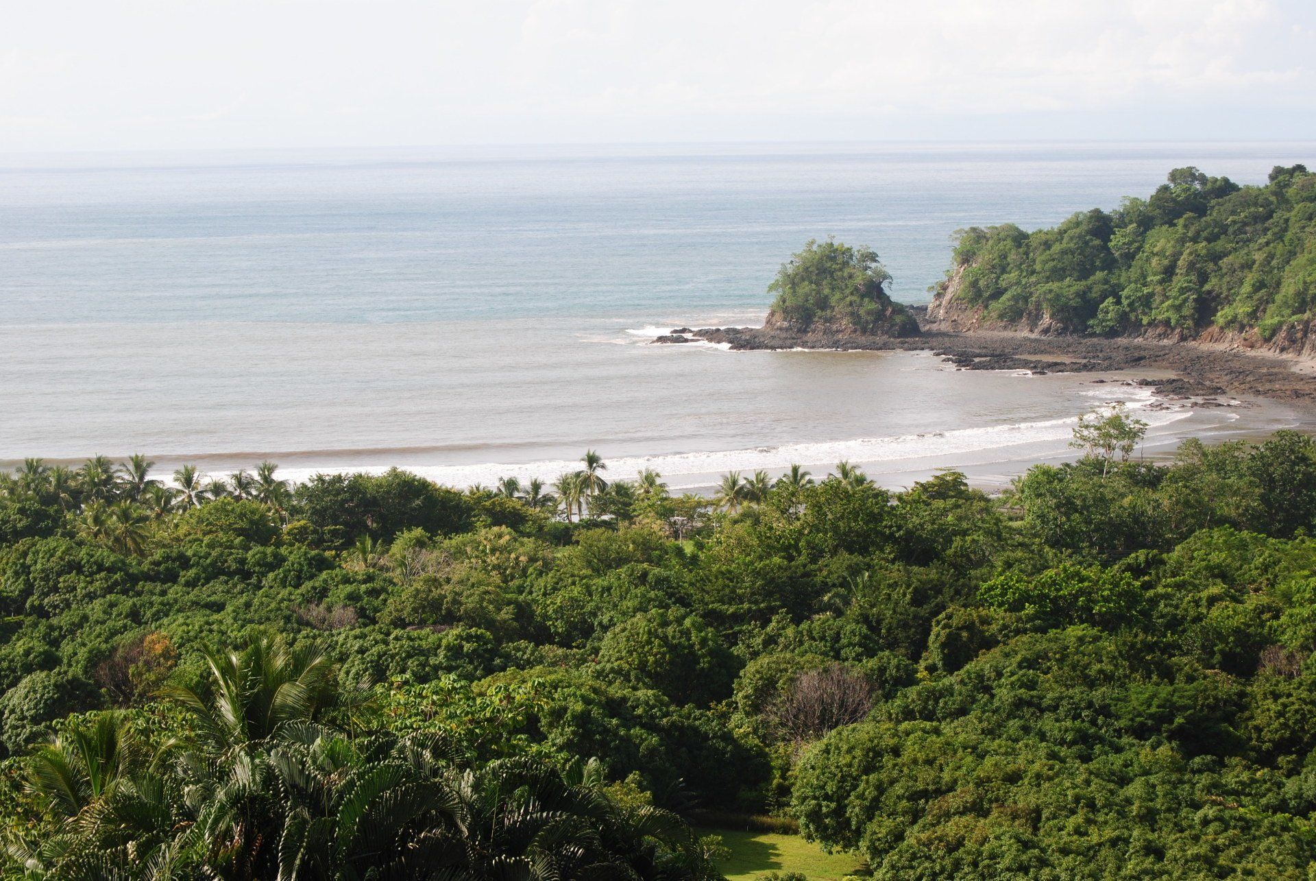 A view of the ocean from a lush green forest