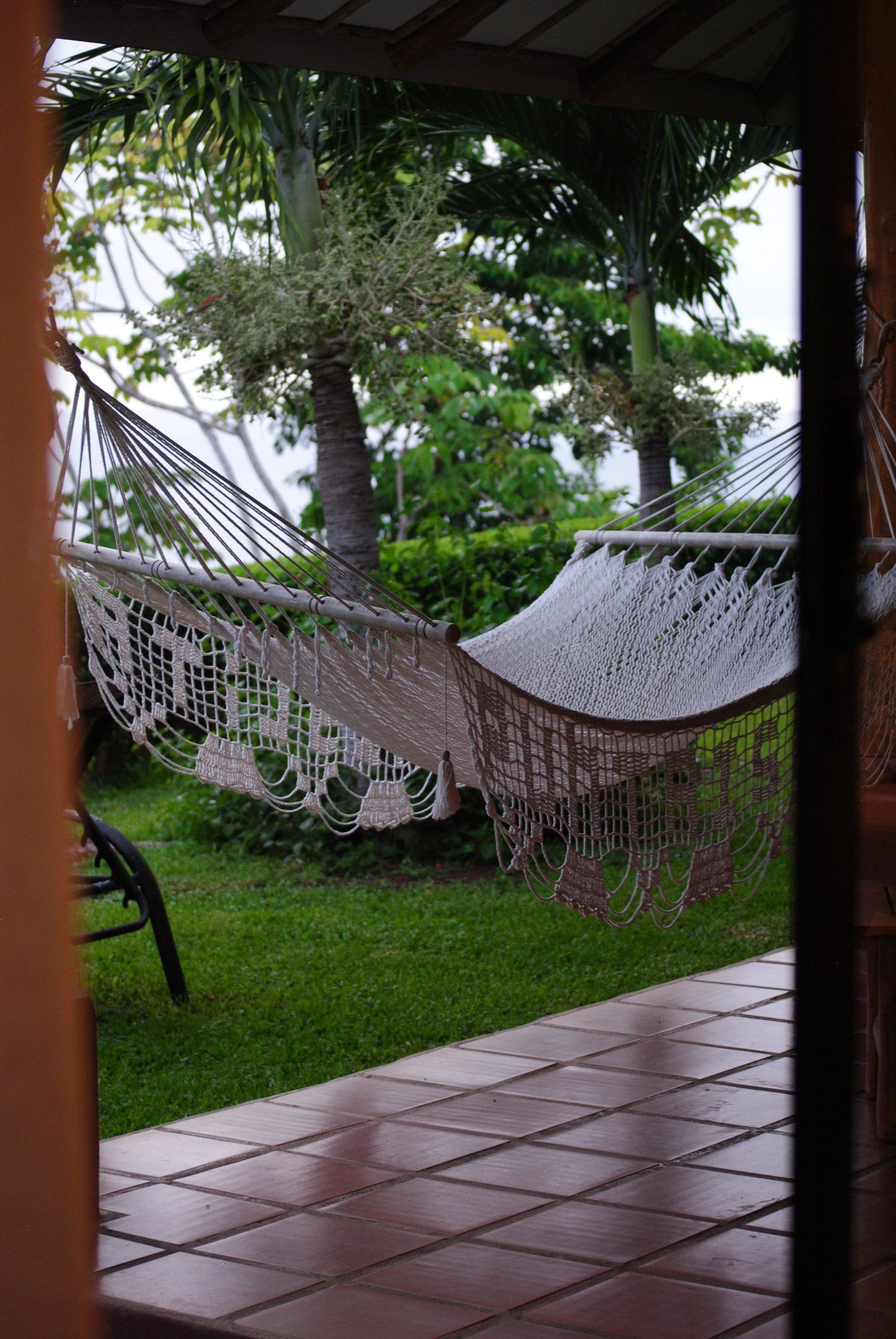 A hammock is sitting in the middle of a lush green yard.