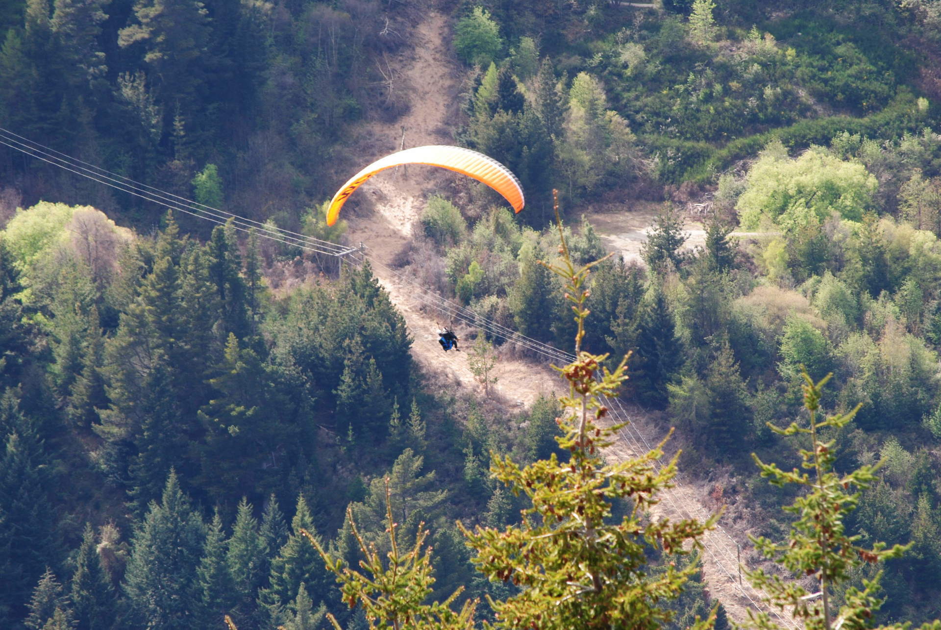 A paraglider is flying over a lush green forest