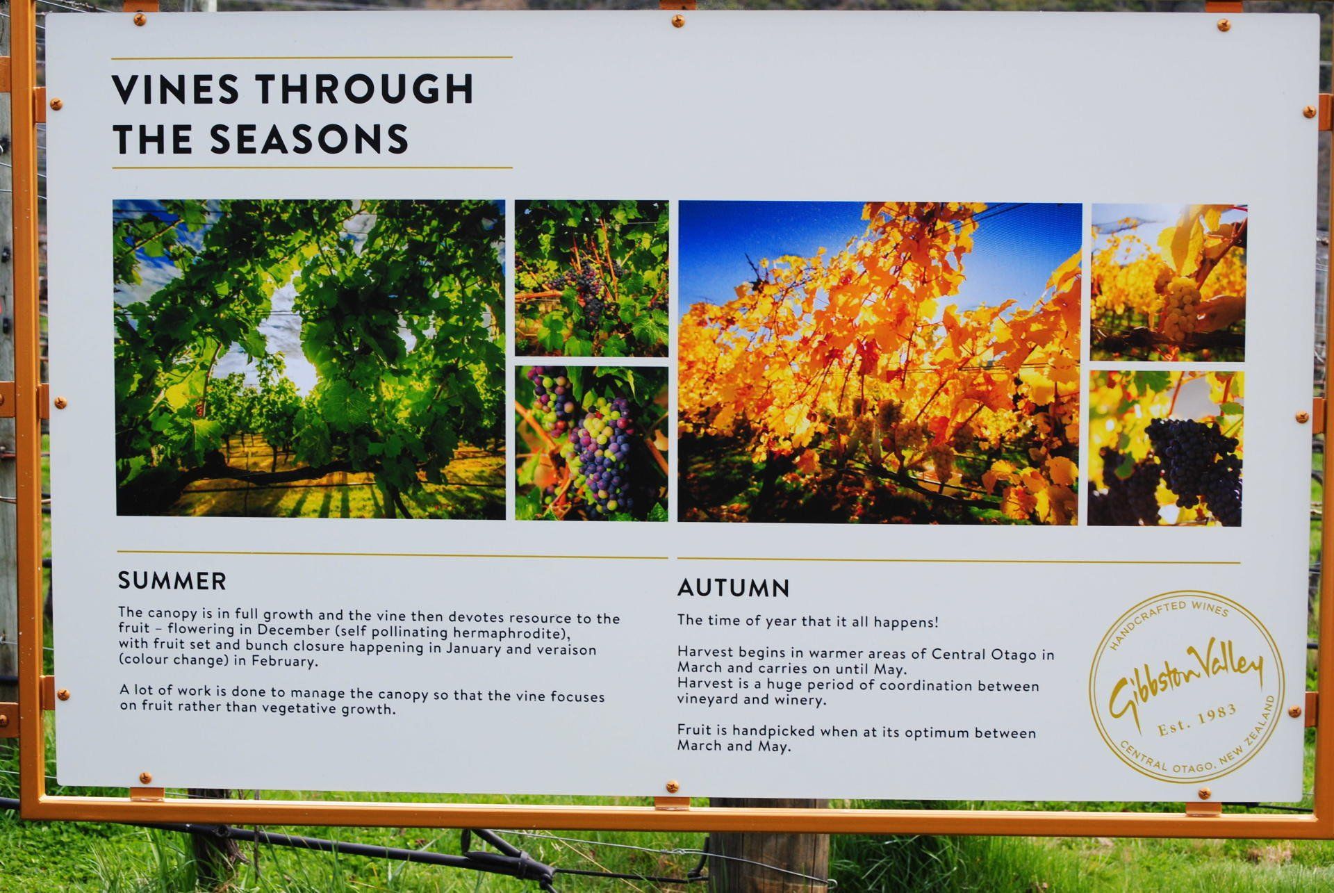 A sign that says vines through the seasons on it