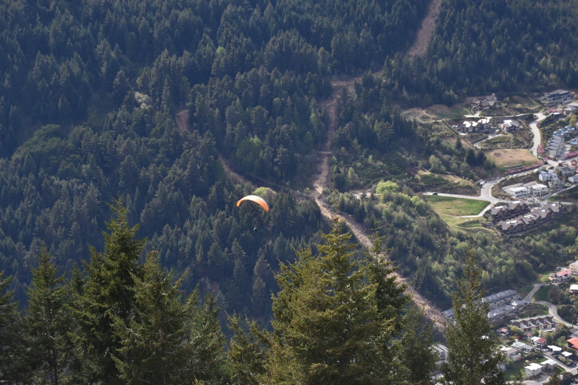 A person is flying a parachute over a forest.