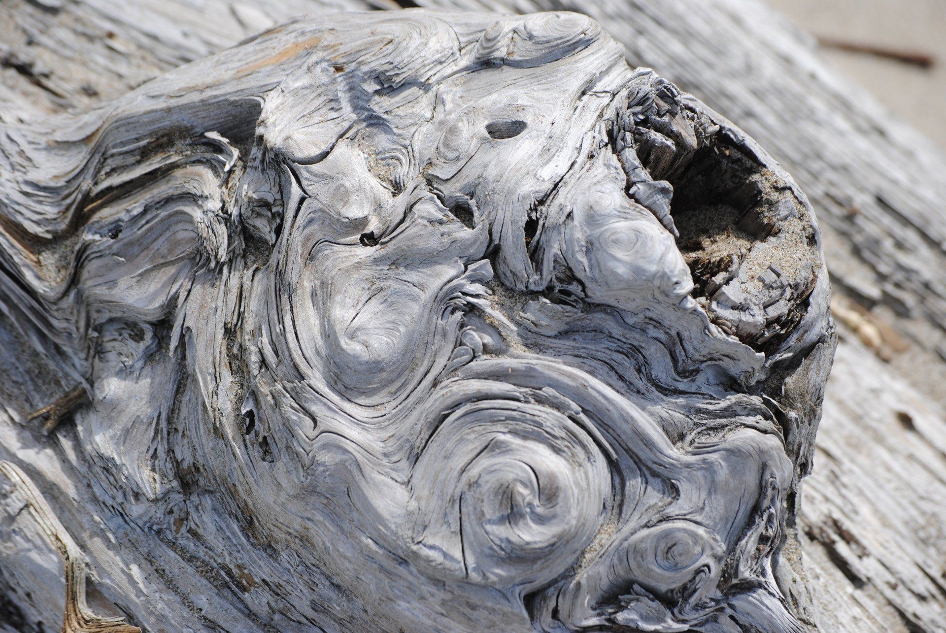 A close up of a piece of wood with a swirl pattern