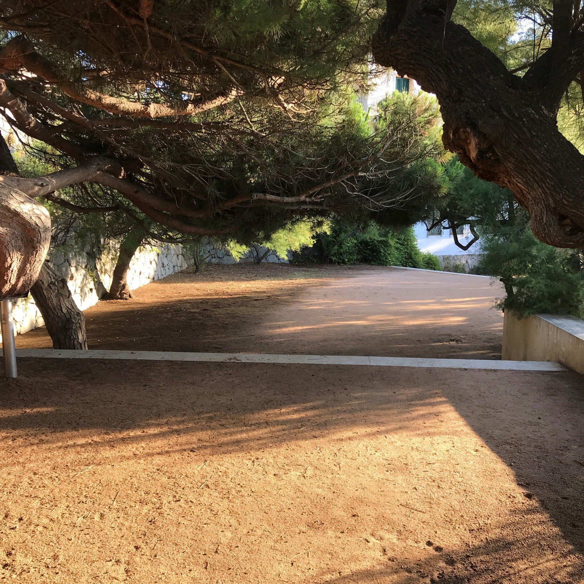 A dirt road with trees on both sides of it
