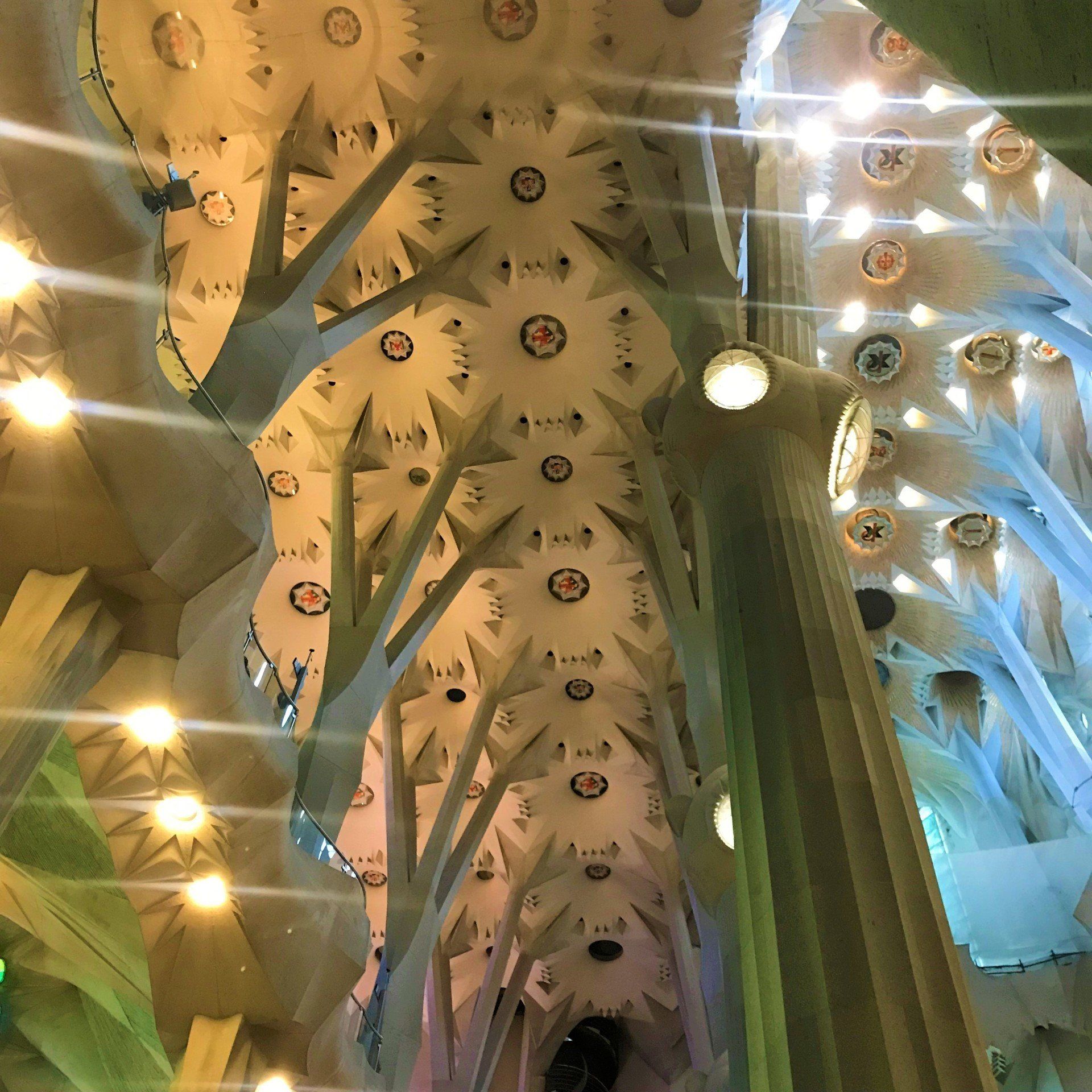 The ceiling of a building with a lot of lights on it