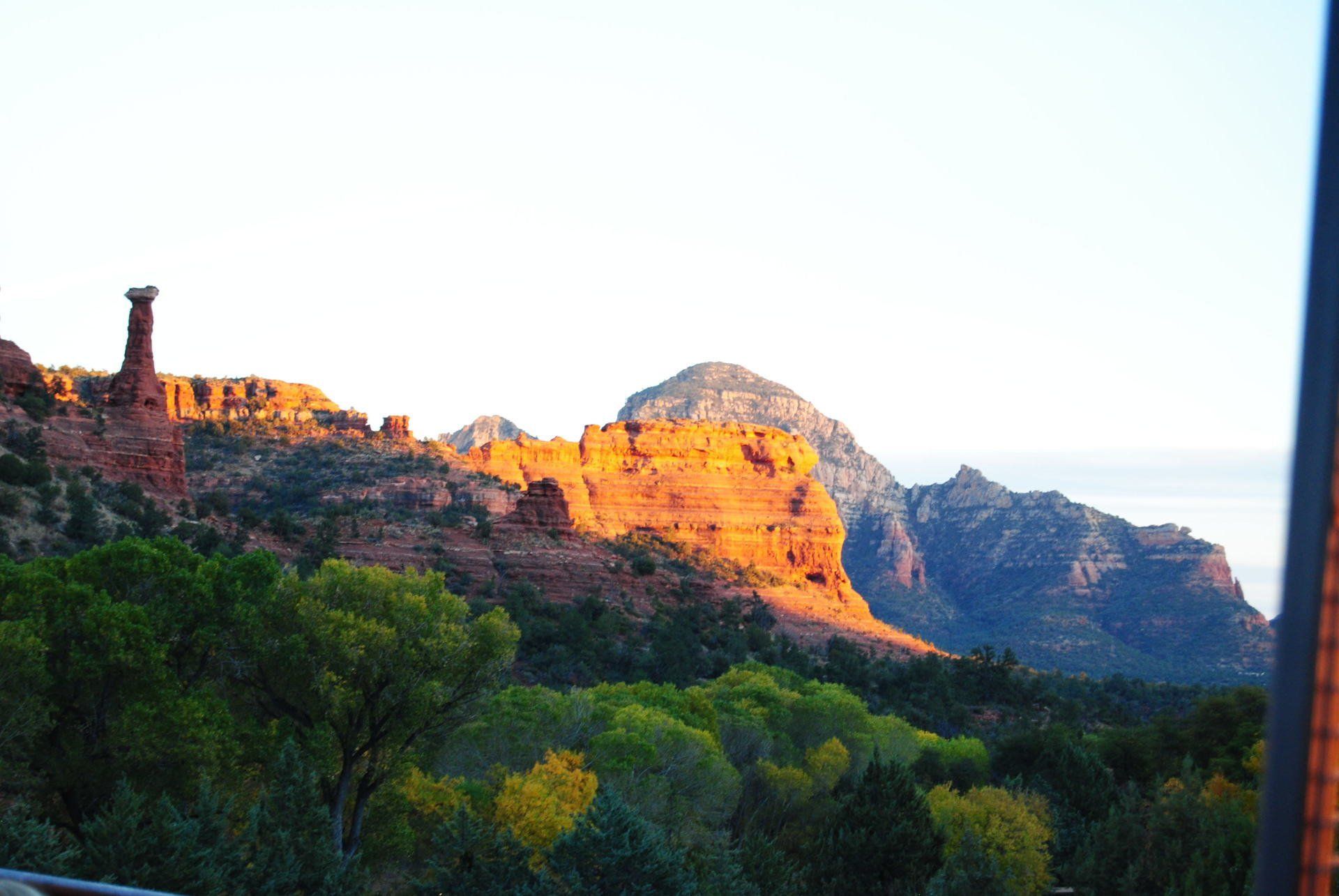 A view of a mountain range with trees in the foreground