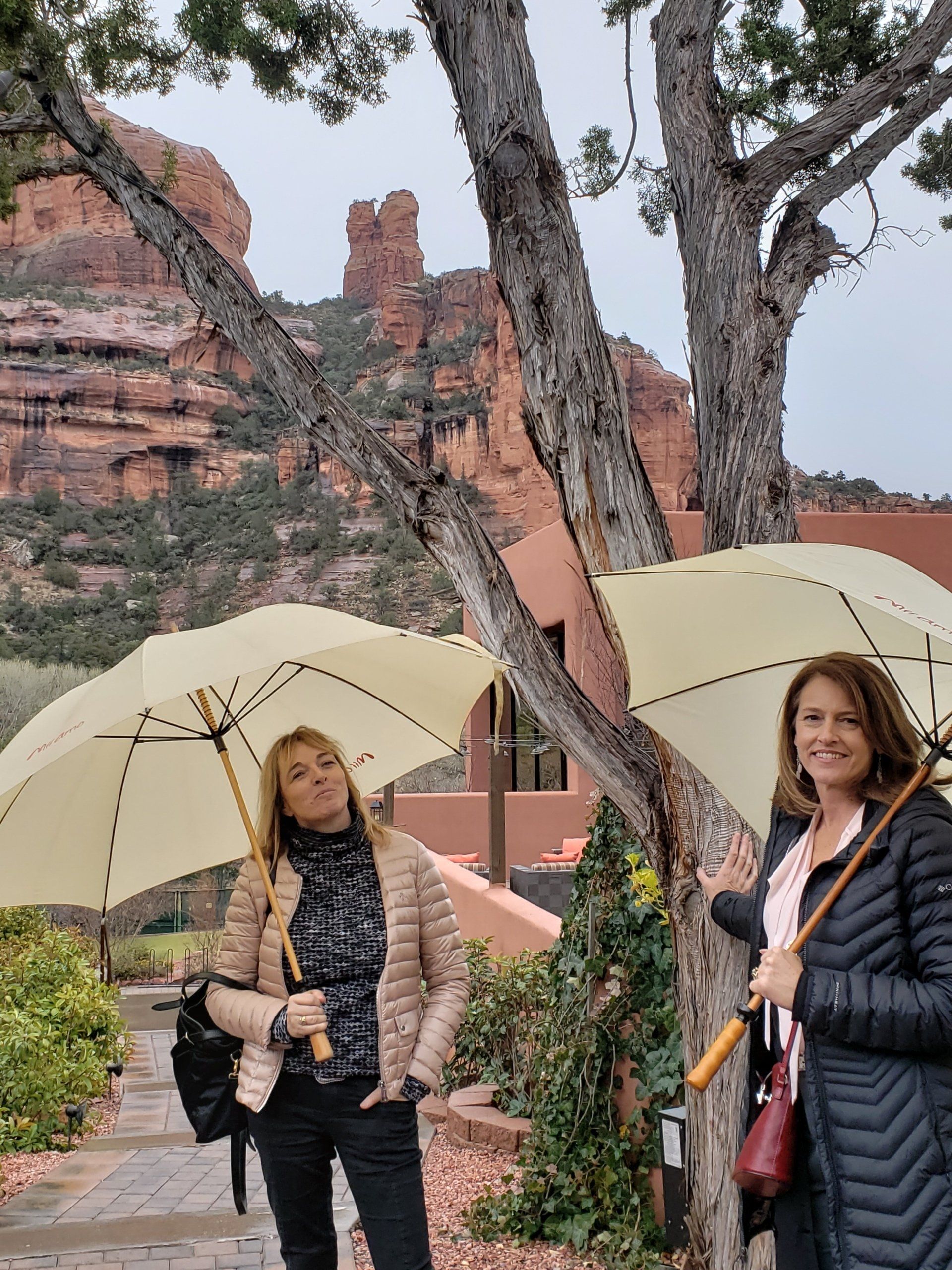Two women are holding umbrellas in front of a tree.