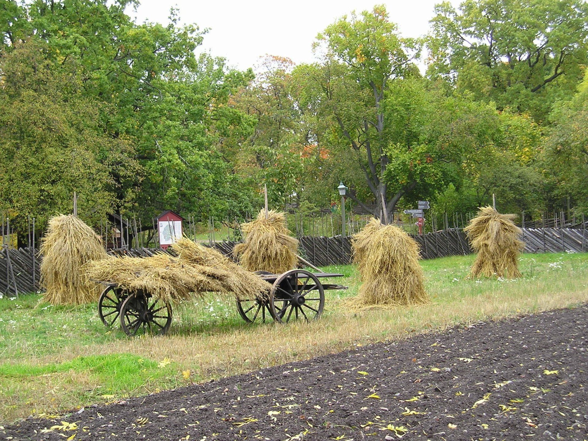 Hay bales on a cart in a field with trees in the background