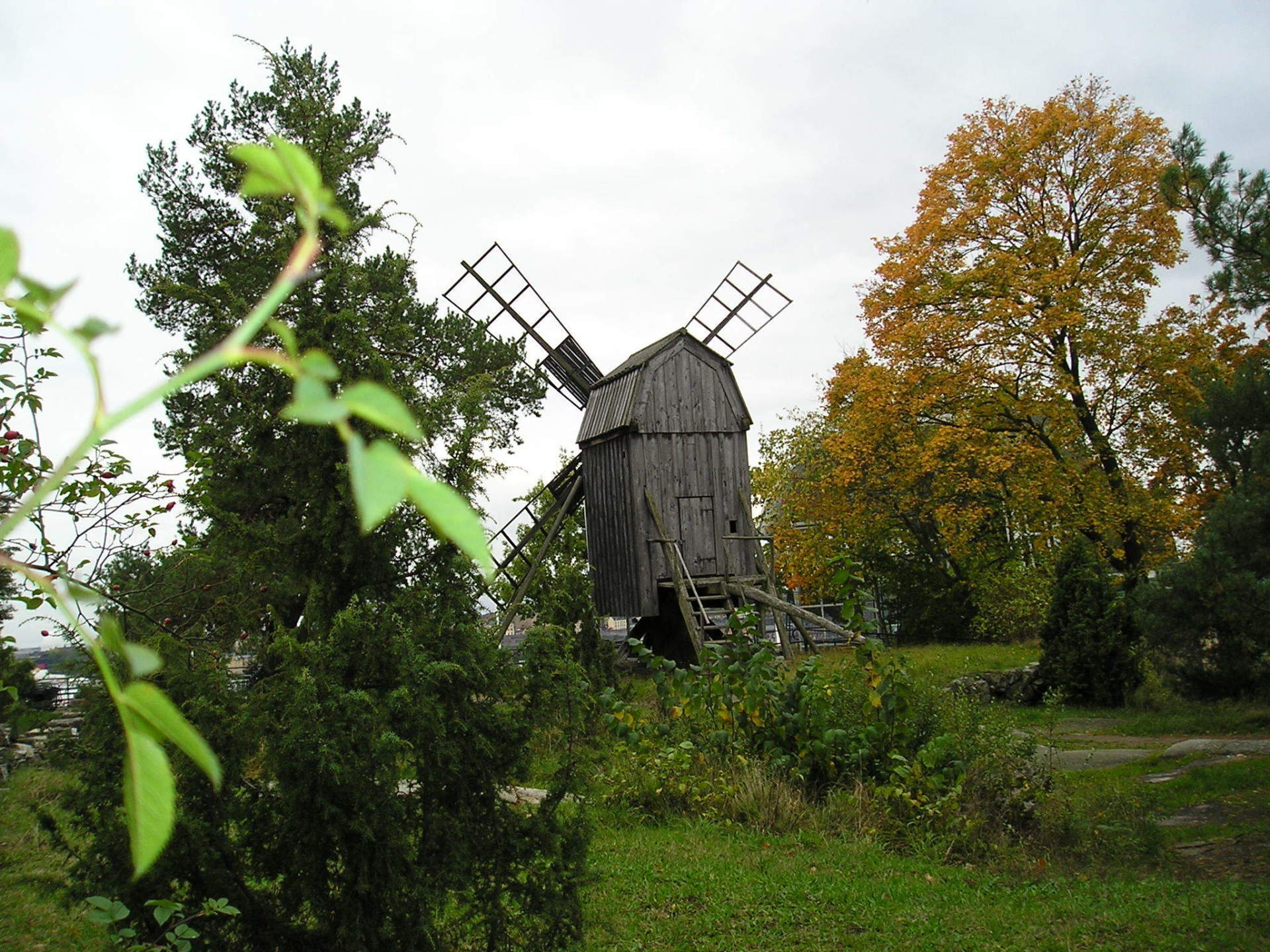 A wooden windmill is surrounded by trees and grass