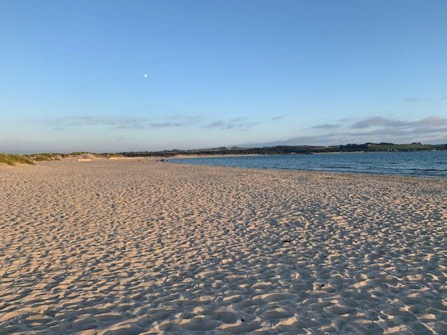 A sandy beach with a body of water in the background