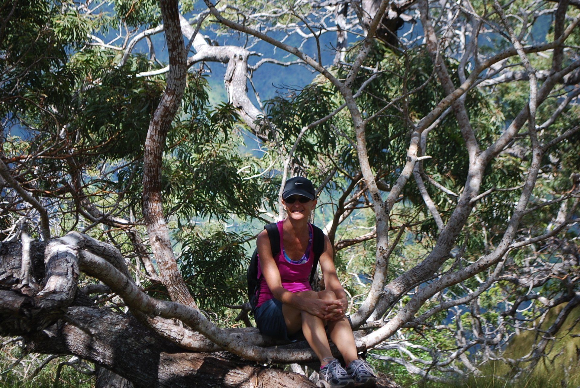 A woman is sitting on a branch of a tree.