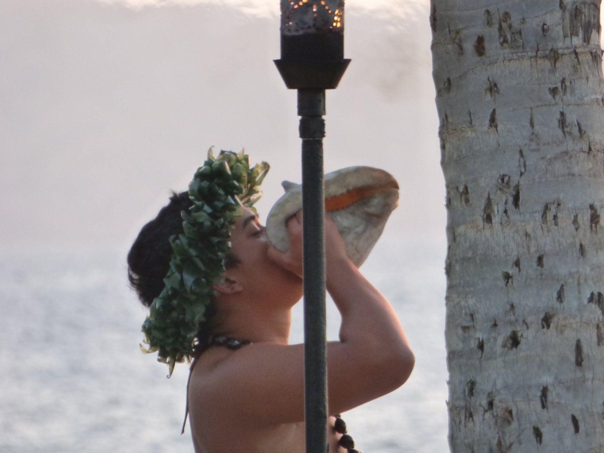 A man blowing a conch shell next to a palm tree