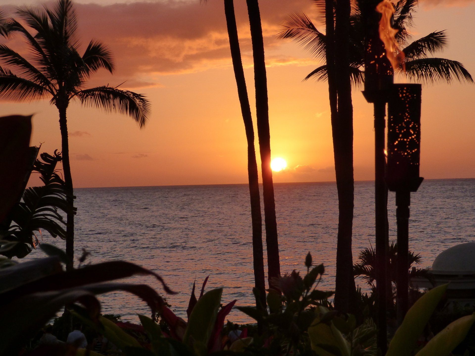 A sunset over the ocean with palm trees in the foreground
