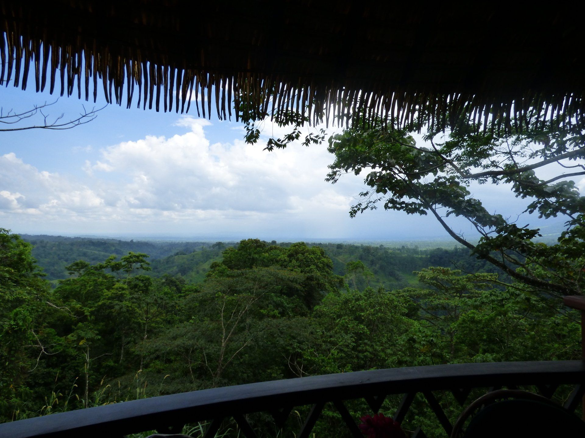A view of a forest from a balcony with a thatched roof
