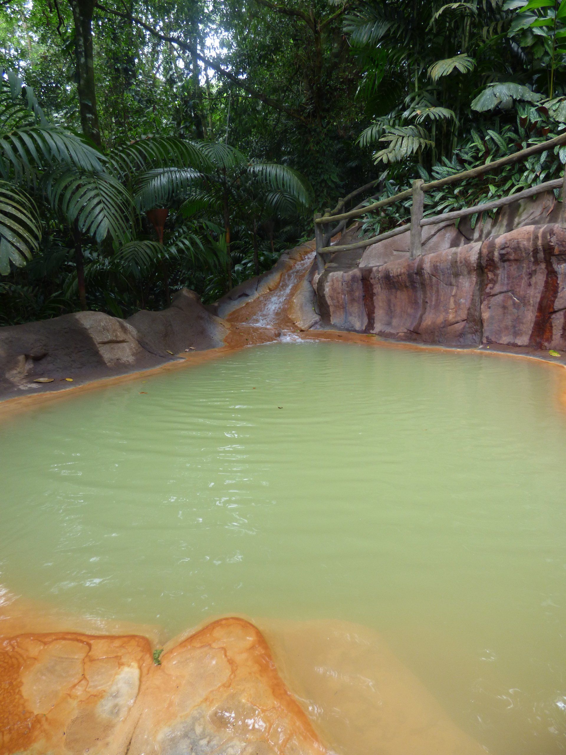 There is a large pool of water in the middle of the jungle.