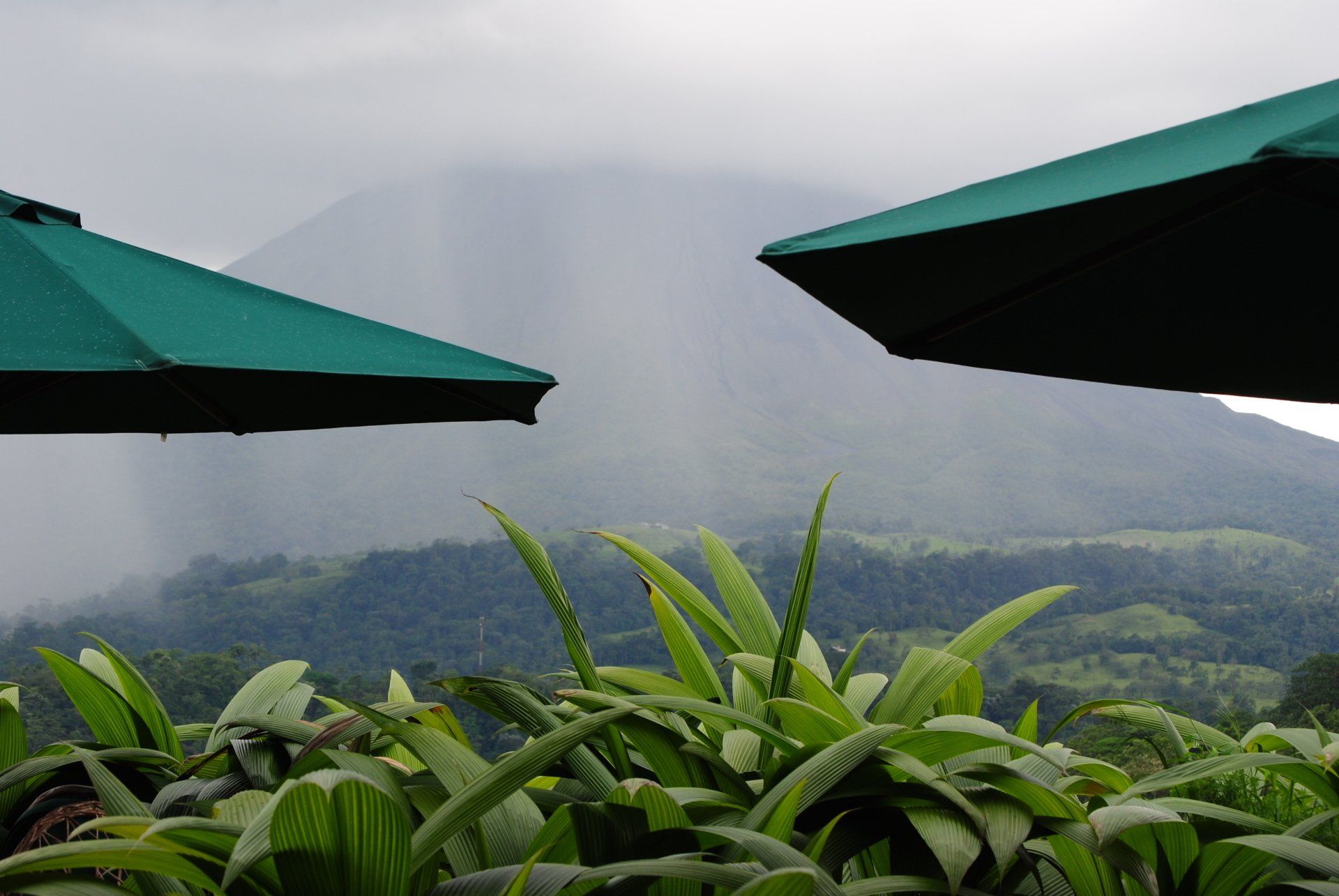 A couple of green umbrellas with mountains in the background