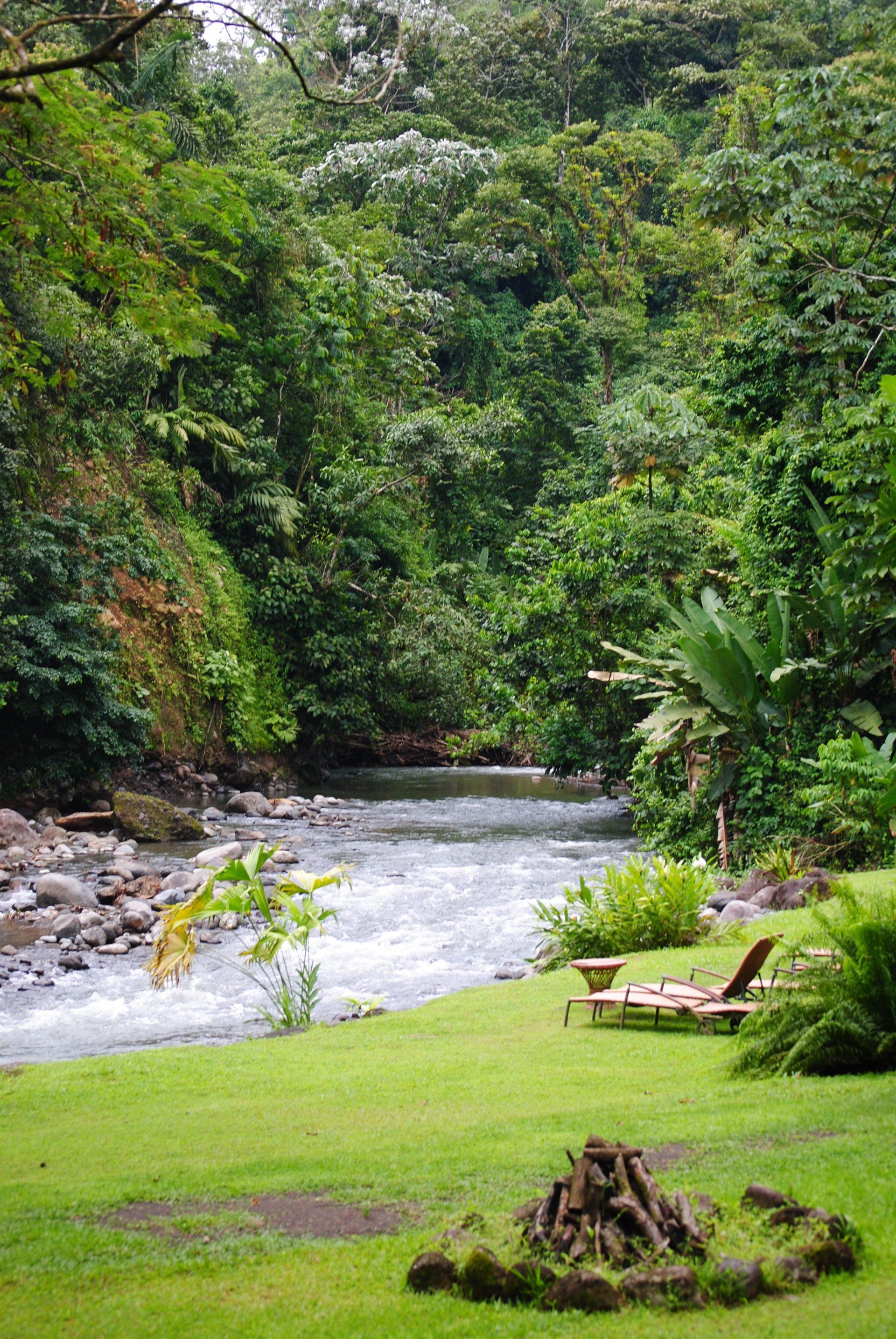 A river running through a lush green forest with a fire pit in the foreground.