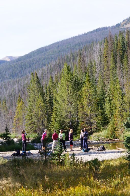 A group of people are standing on a bridge in the middle of a forest.