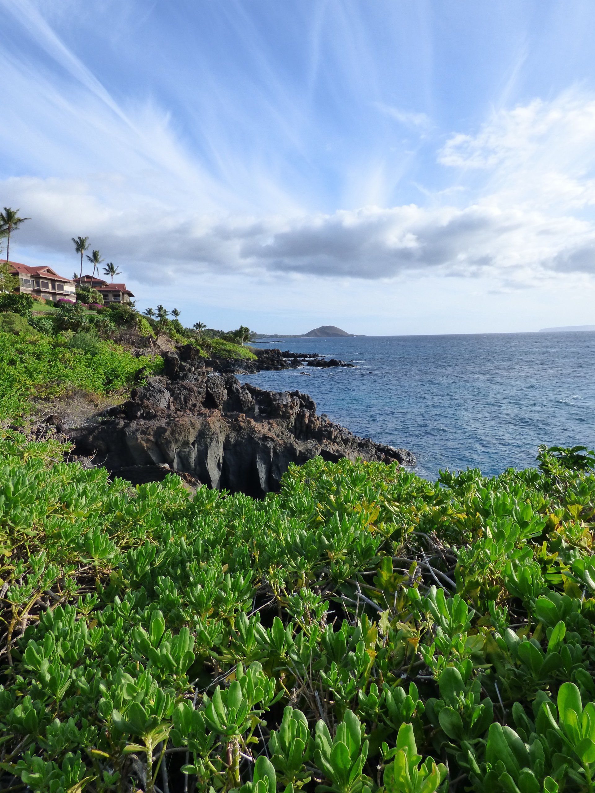 A cliff overlooking the ocean with a house in the background