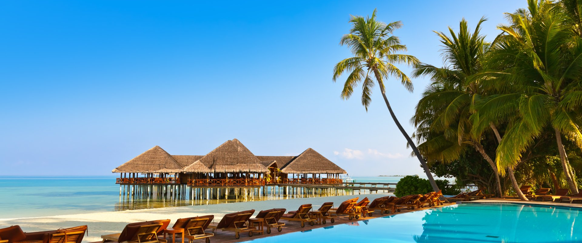 A swimming pool surrounded by palm trees on a tropical island.
