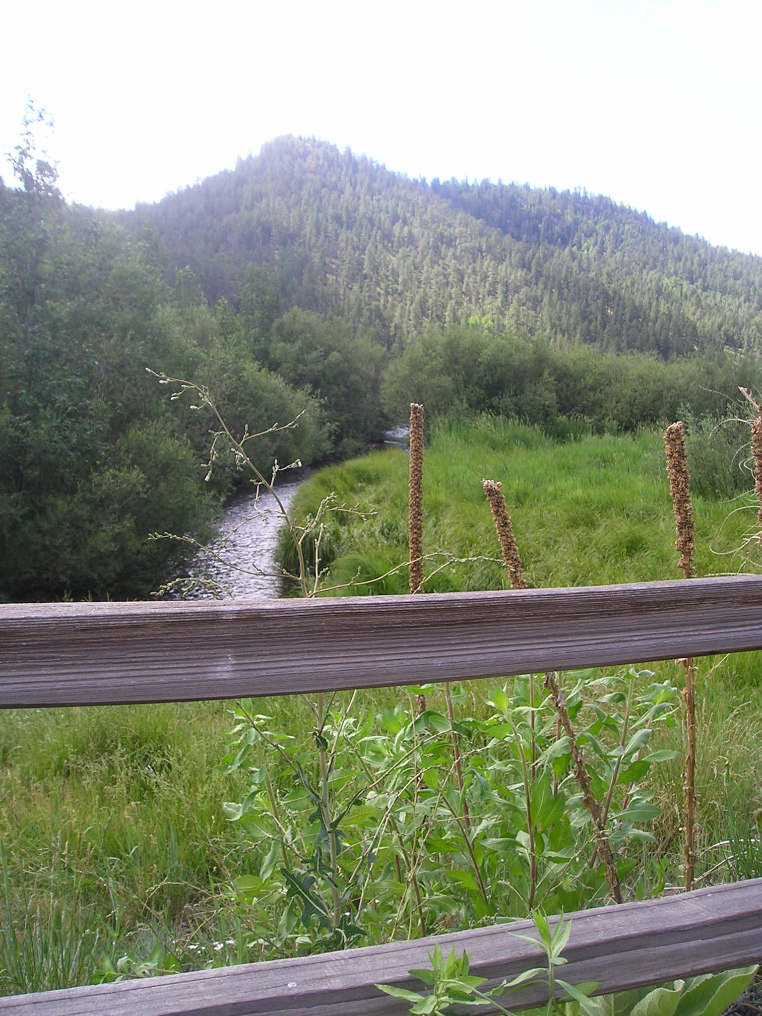 A wooden fence surrounds a grassy field with a river running through it.