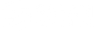 Safari Web Logo