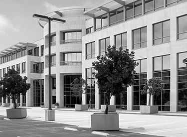 Modern office building with large windows and trees in planters.