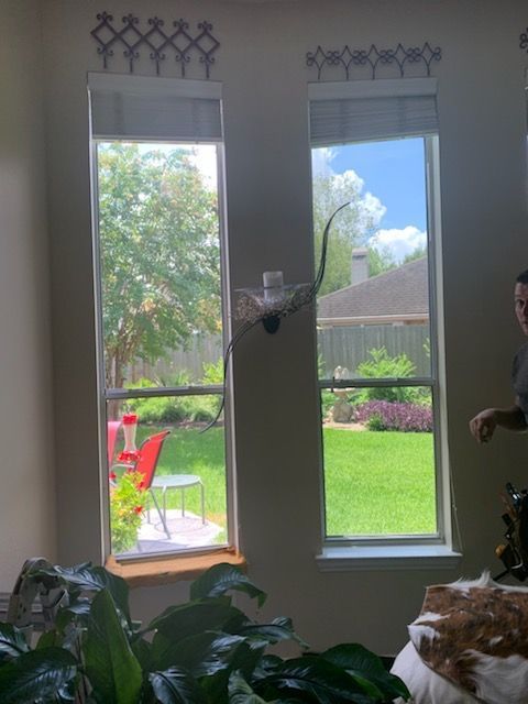 Two tall windows with a garden view. A person stands near the right window. Lush plants in the foreground.
