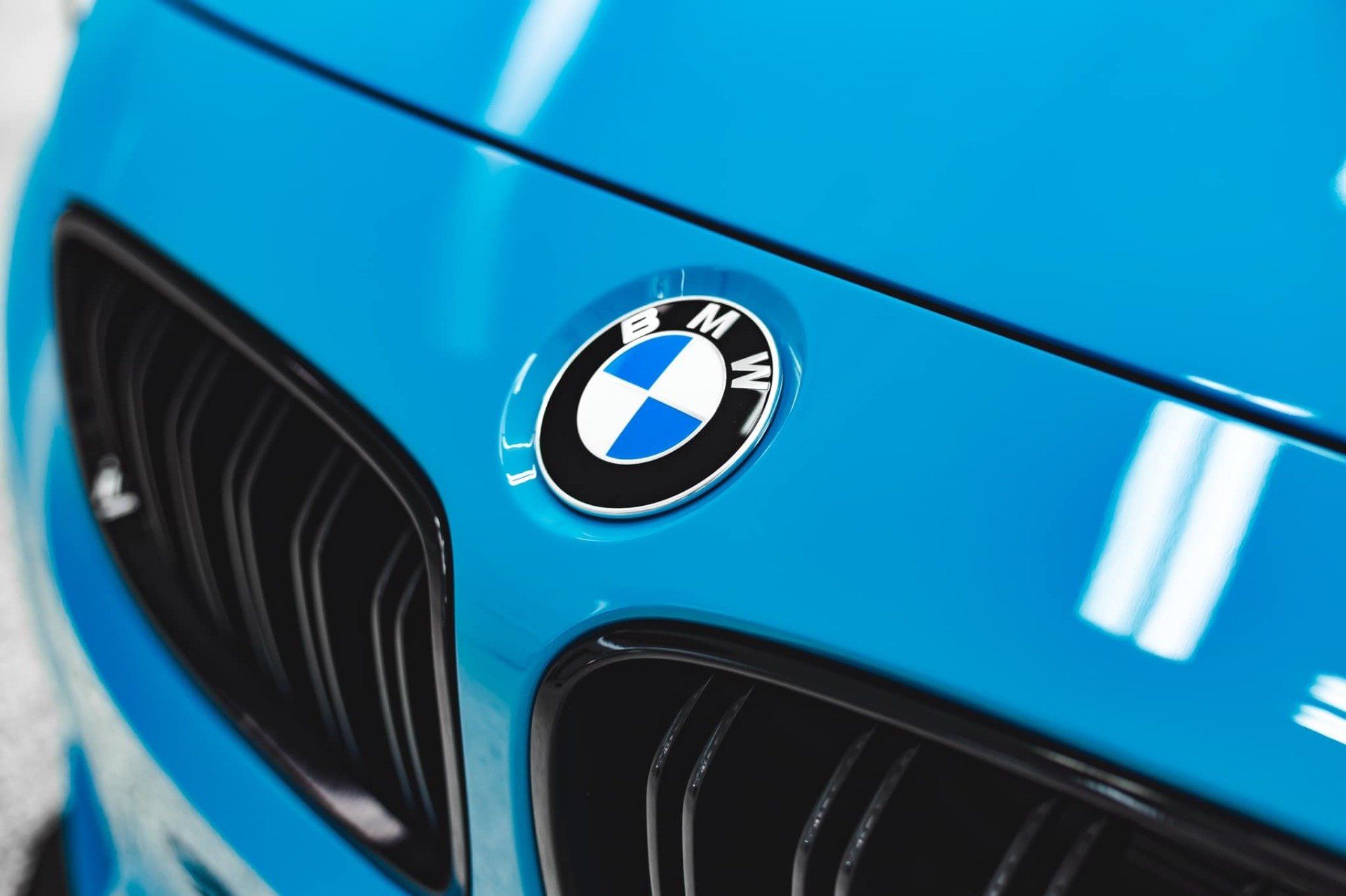 paint protection near me