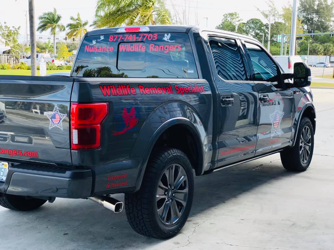 vehicle graphics near me