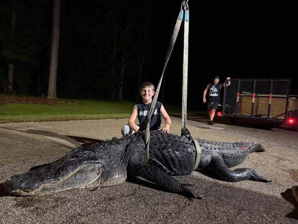 Alabama alligator hunting