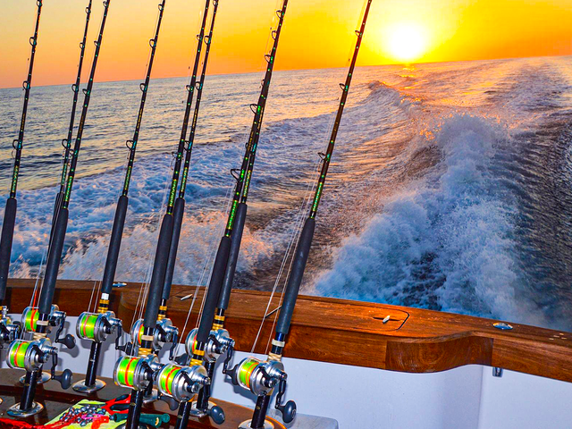 Orange Beach Fishing Tournaments