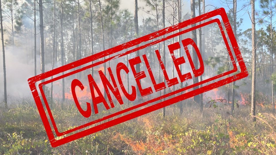 Gulf State Park Prescribed burn in Gulf Shores cancelled