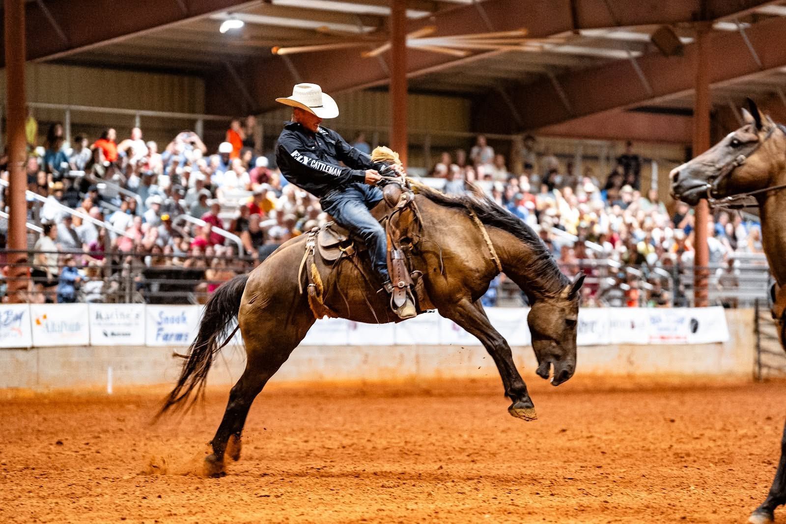 Jennifer Claire Moore Rodeo