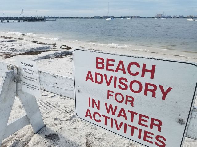 Bacteria Levels In Local Bay Waters