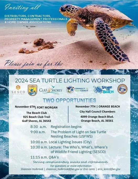 sea turtle lights in gulf shores news