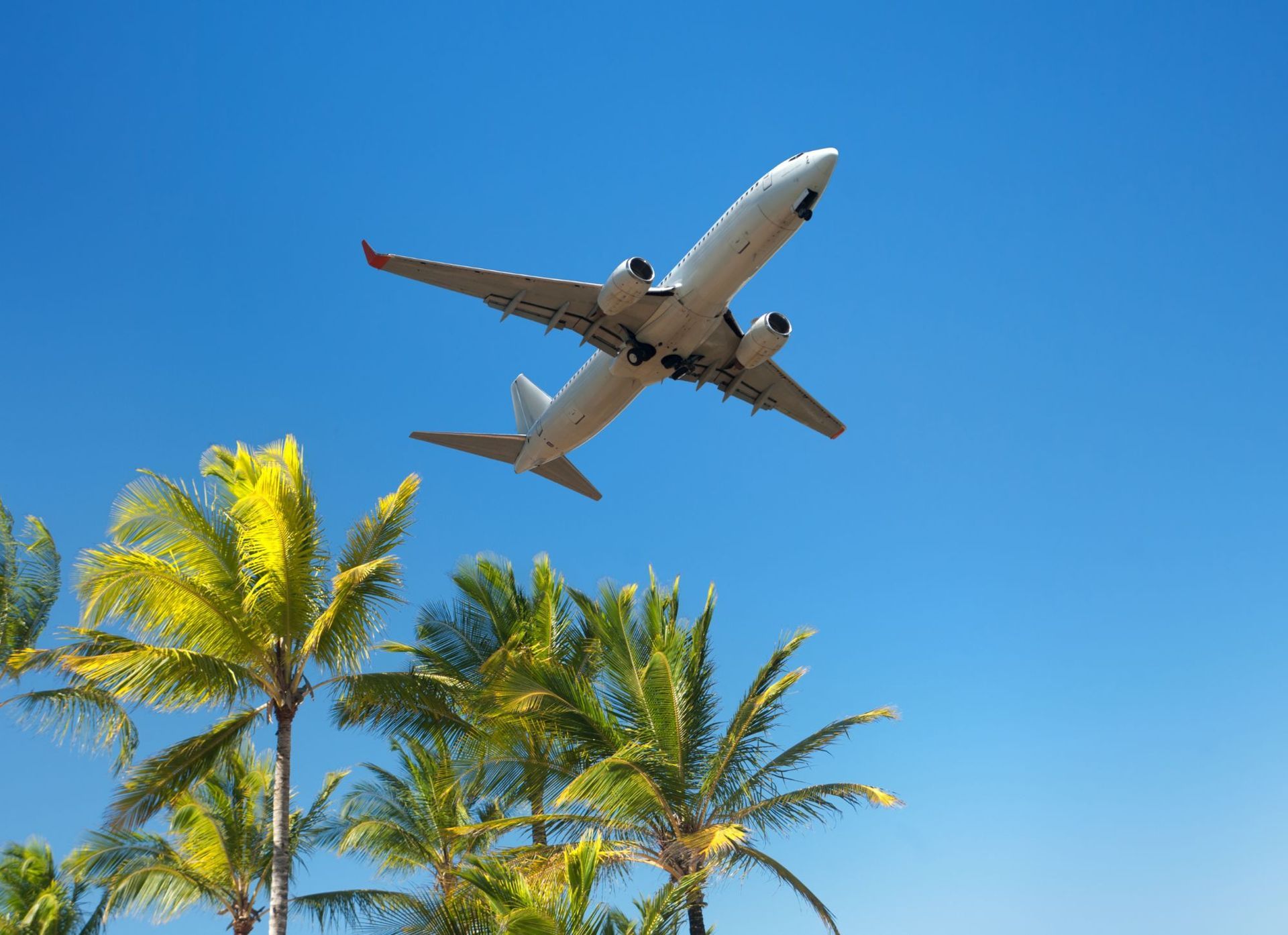 Gulf Shores Allegiant Flights