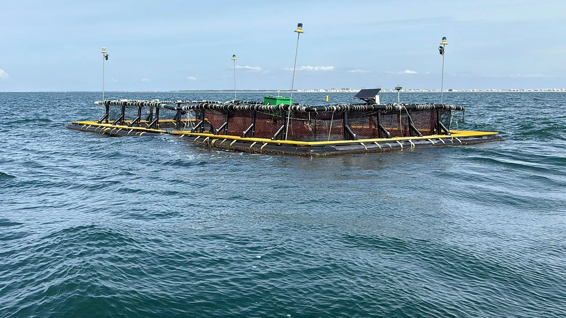 Dauphin Island Sea Lab testing aqua farming