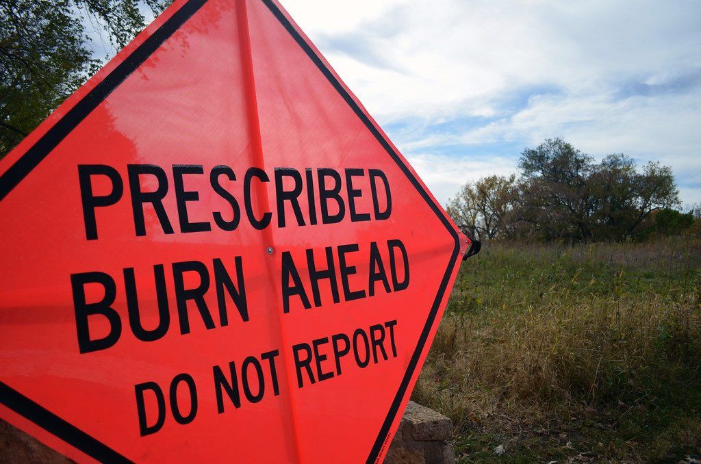 gulf shores fire in state park